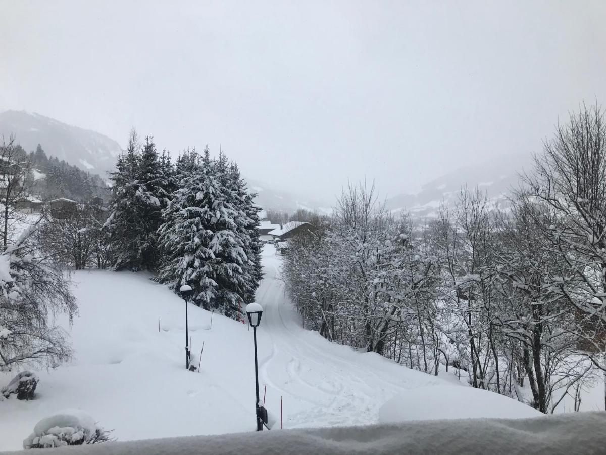 Chalet " Jeane " Proche Centre 梅杰夫 外观 照片